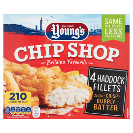 YOUNGS 2  FISH FILLETS